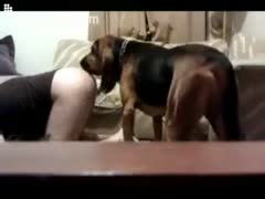 Dude gets a rumping from happy pooch